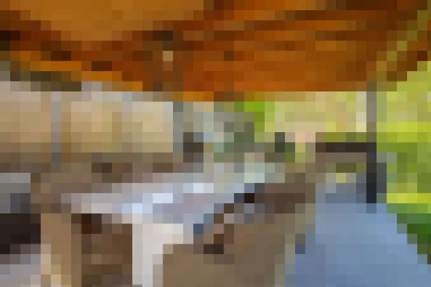 Gelreplein 2 Linne thumbnail 39