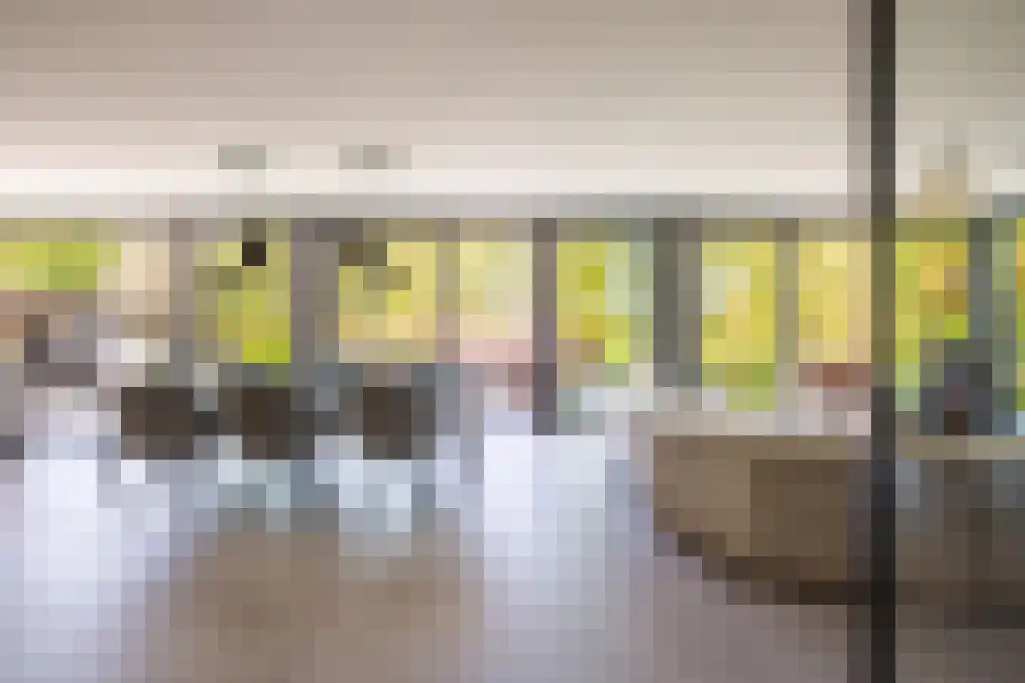 Gelreplein 2 Linne thumbnail 4
