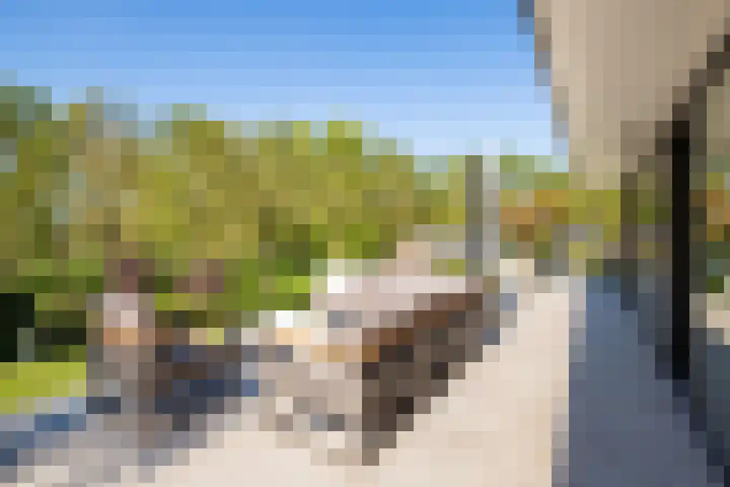 Gelreplein 2 Linne thumbnail 41