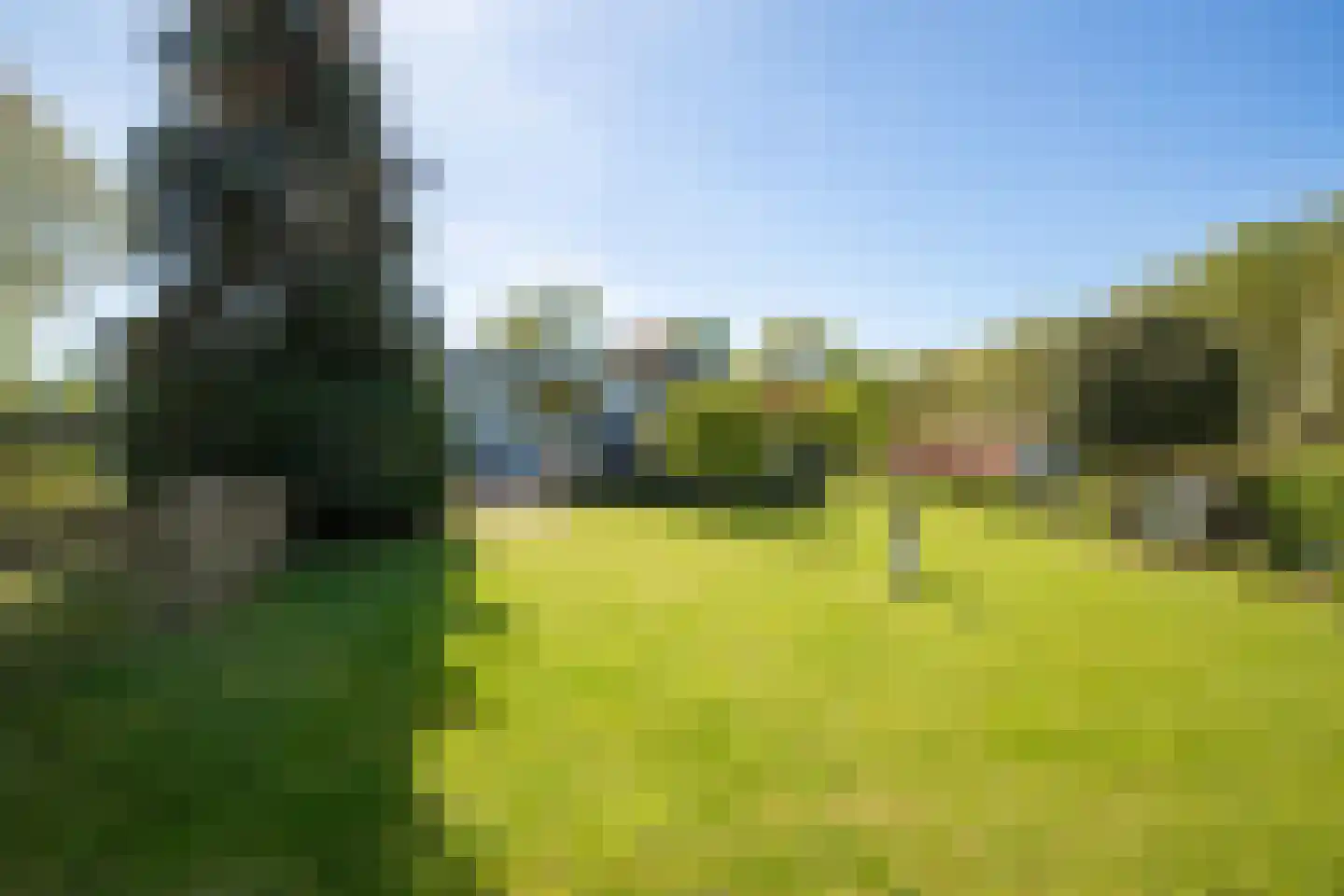 Gelreplein 2 Linne thumbnail 42