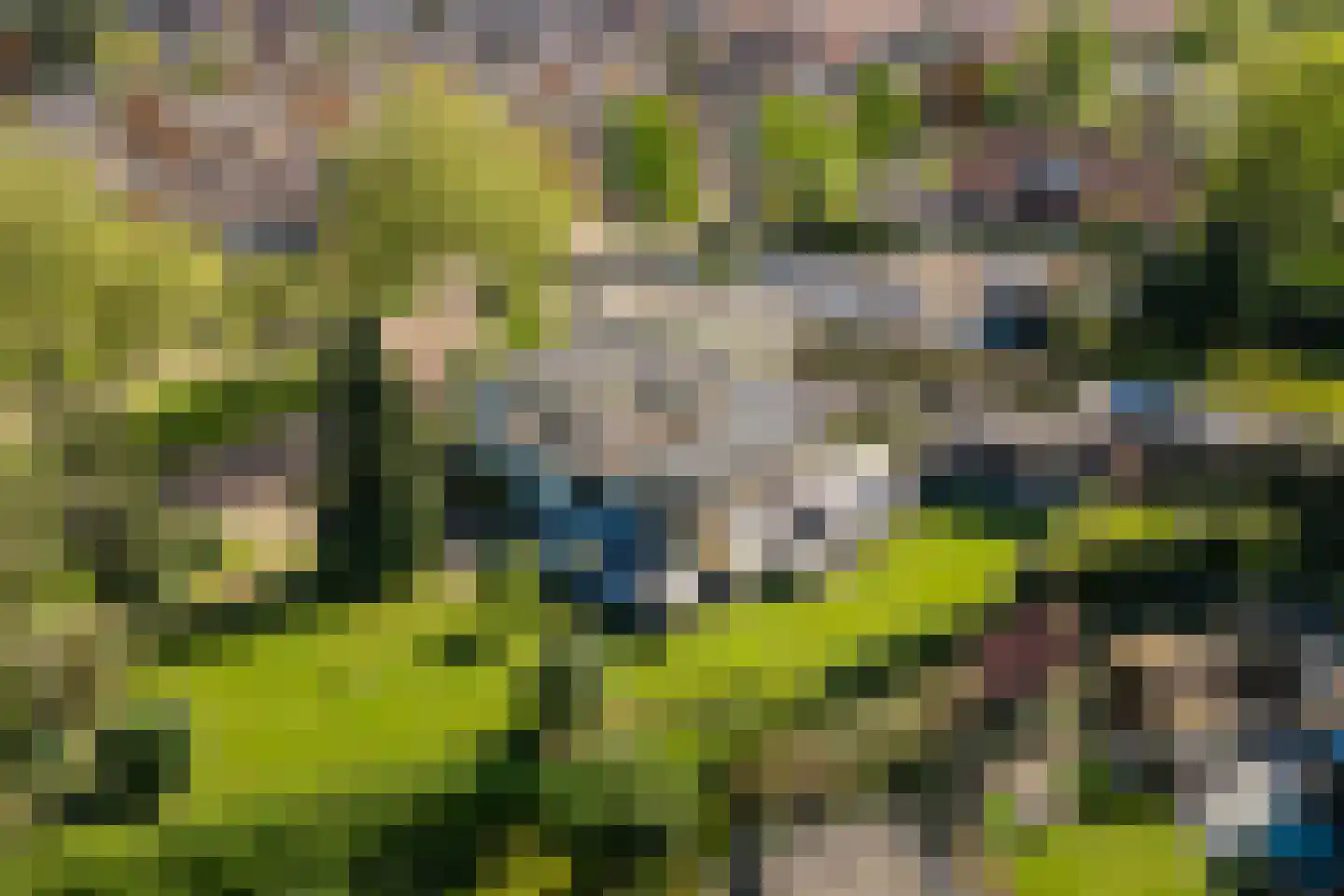 Gelreplein 2 Linne thumbnail 48