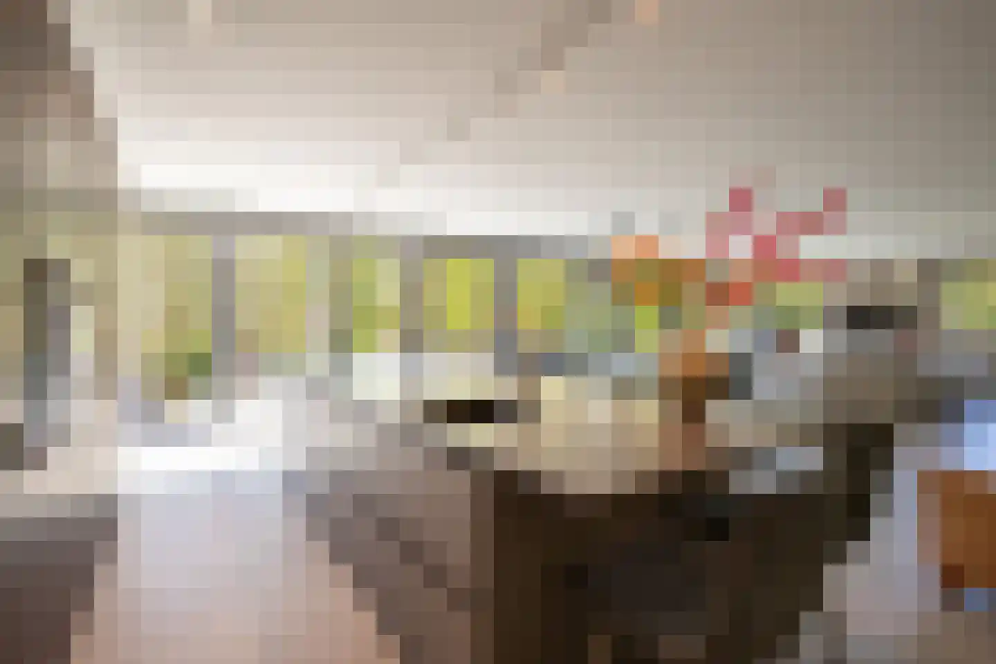 Gelreplein 2 Linne thumbnail 5