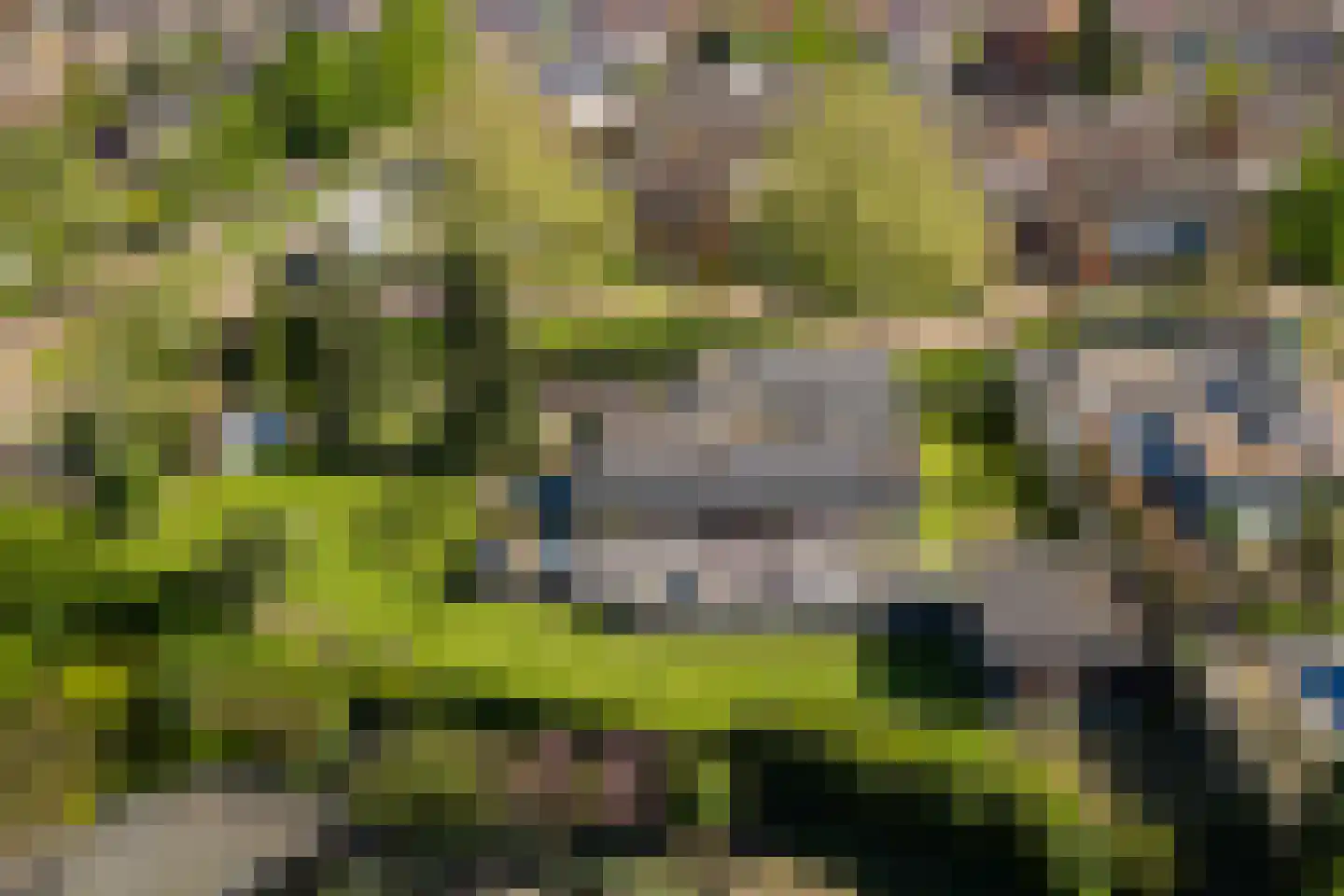 Gelreplein 2 Linne thumbnail 50
