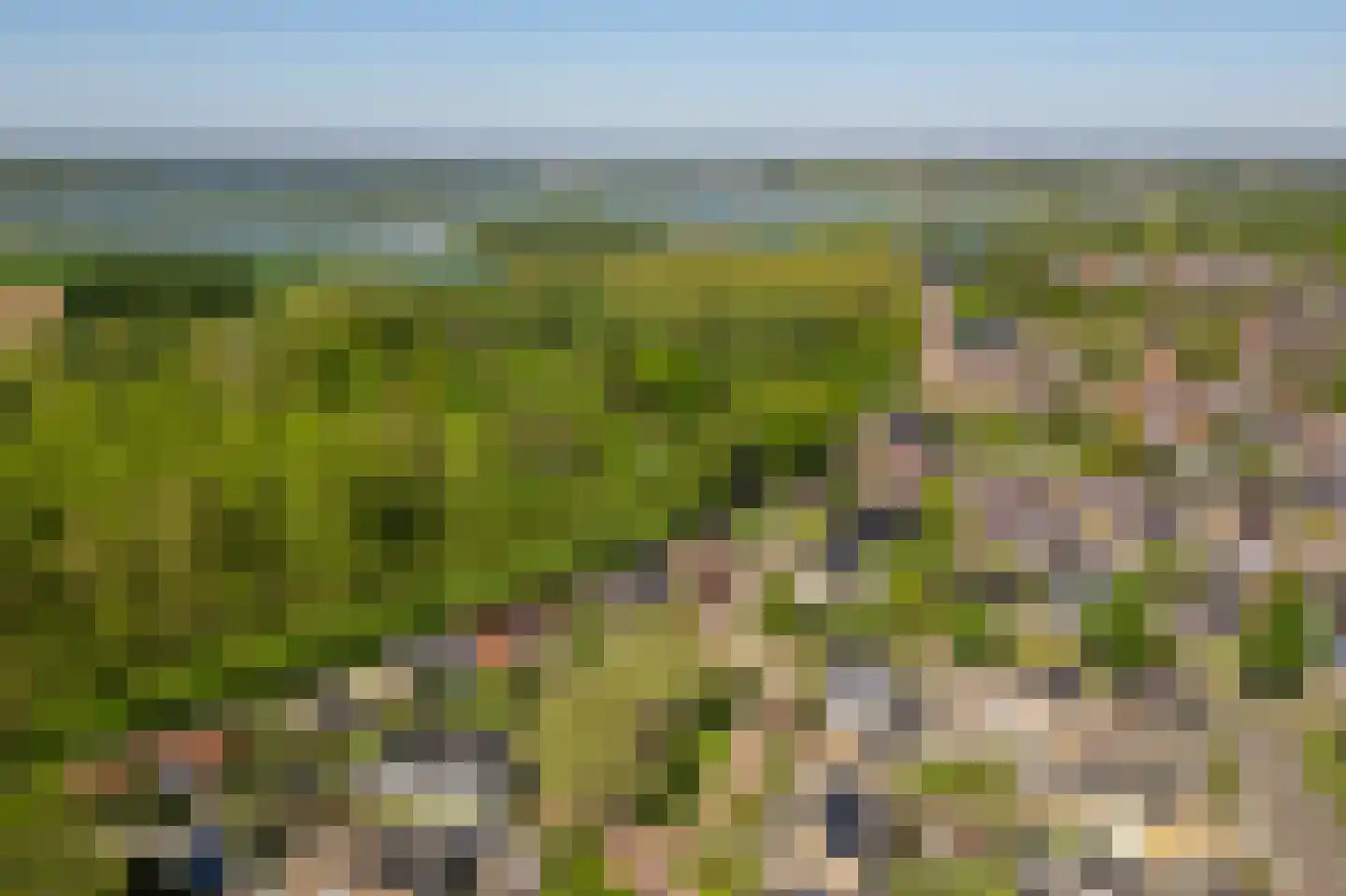 Gelreplein 2 Linne thumbnail 52