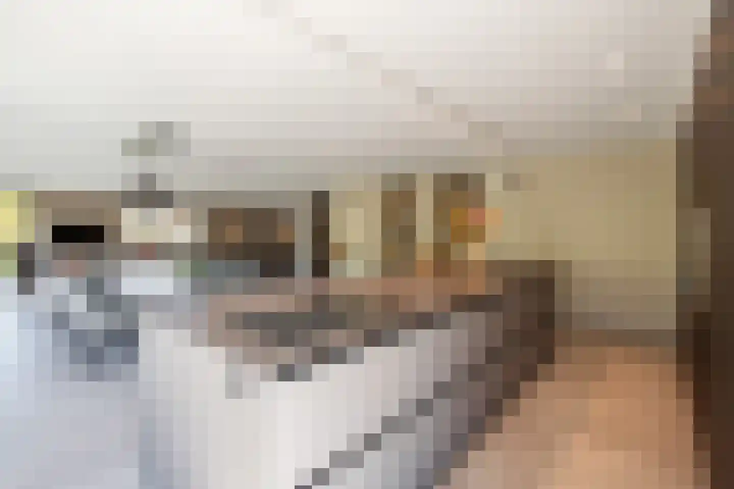 Gelreplein 2 Linne thumbnail 8