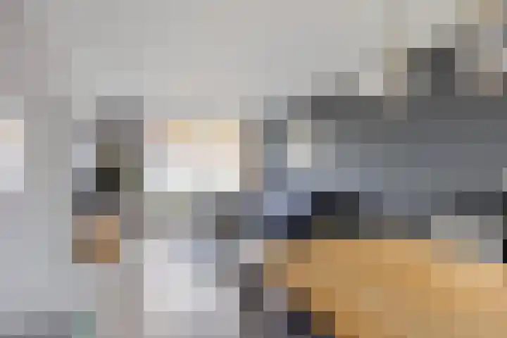 Gelreplein 40 Linne thumbnail 11