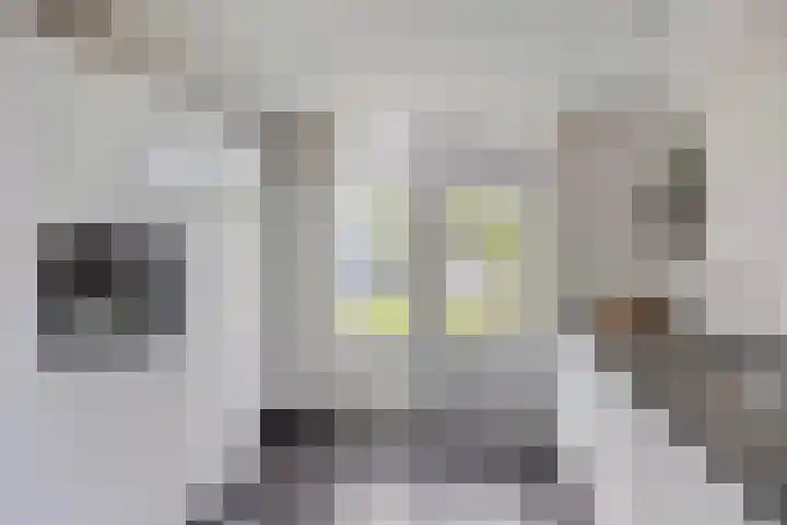 Gelreplein 40 Linne thumbnail 15