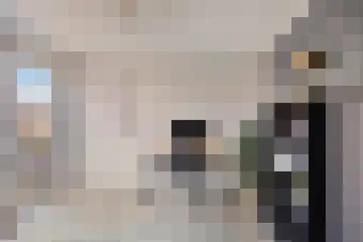 Gelreplein 40 Linne thumbnail 22