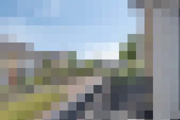 Gelreplein 40 Linne thumbnail 24