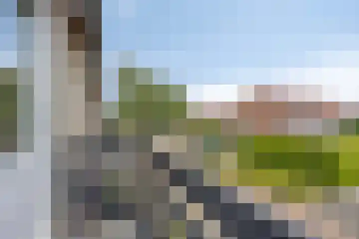 Gelreplein 40 Linne thumbnail 25