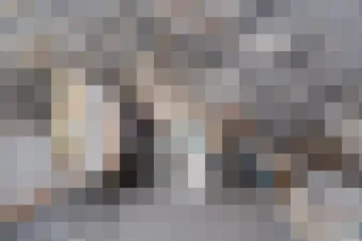 Gelreplein 40 Linne thumbnail 27