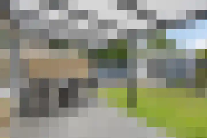 Gelreplein 40 Linne thumbnail 28