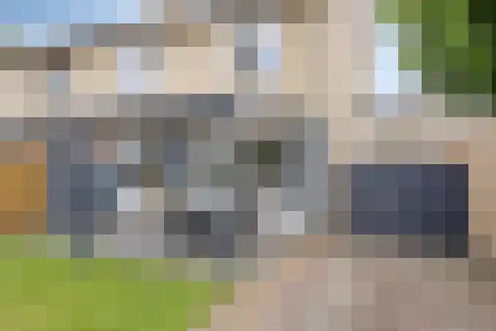 Gelreplein 40 Linne thumbnail 29