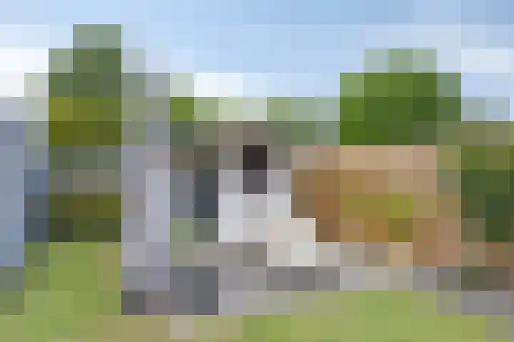 Gelreplein 40 Linne thumbnail 31
