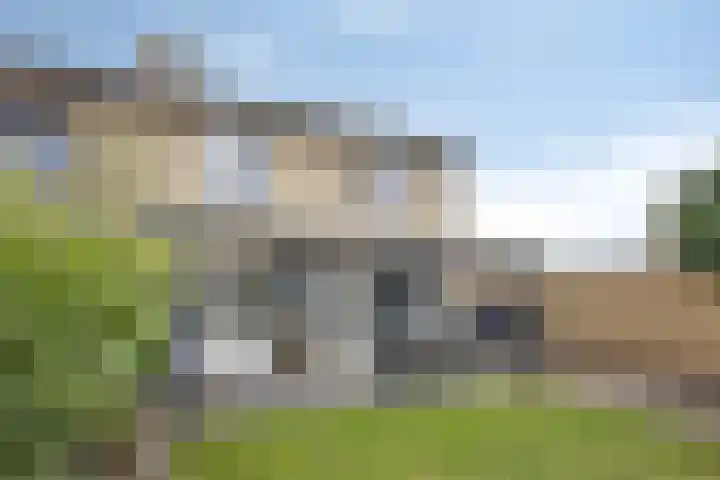 Gelreplein 40 Linne thumbnail 32