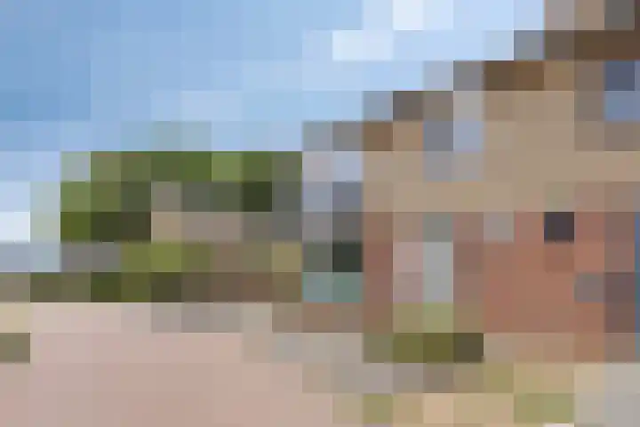 Gelreplein 40 Linne thumbnail 33