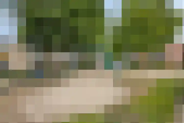 Gelreplein 40 Linne thumbnail 37