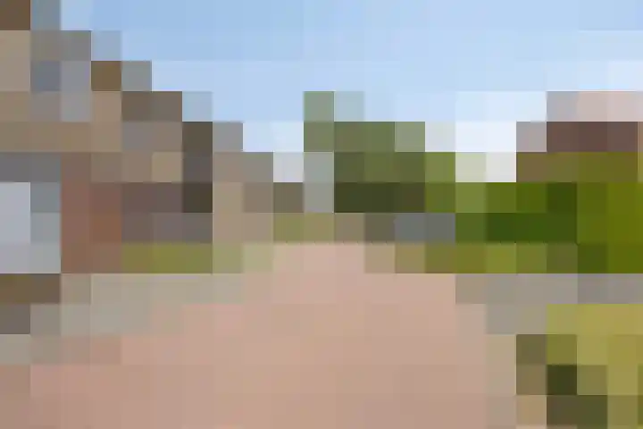 Gelreplein 40 Linne thumbnail 38
