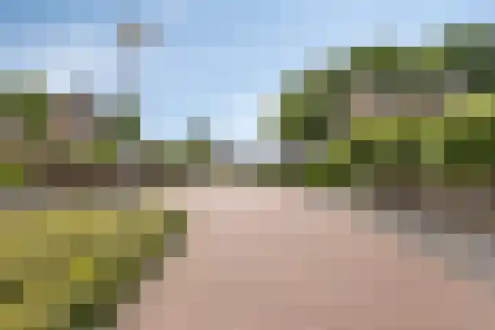 Gelreplein 40 Linne thumbnail 39