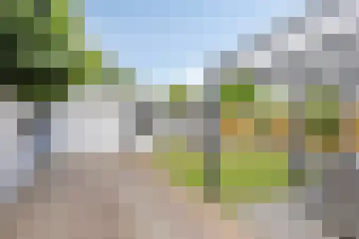 Gelreplein 40 Linne thumbnail 4