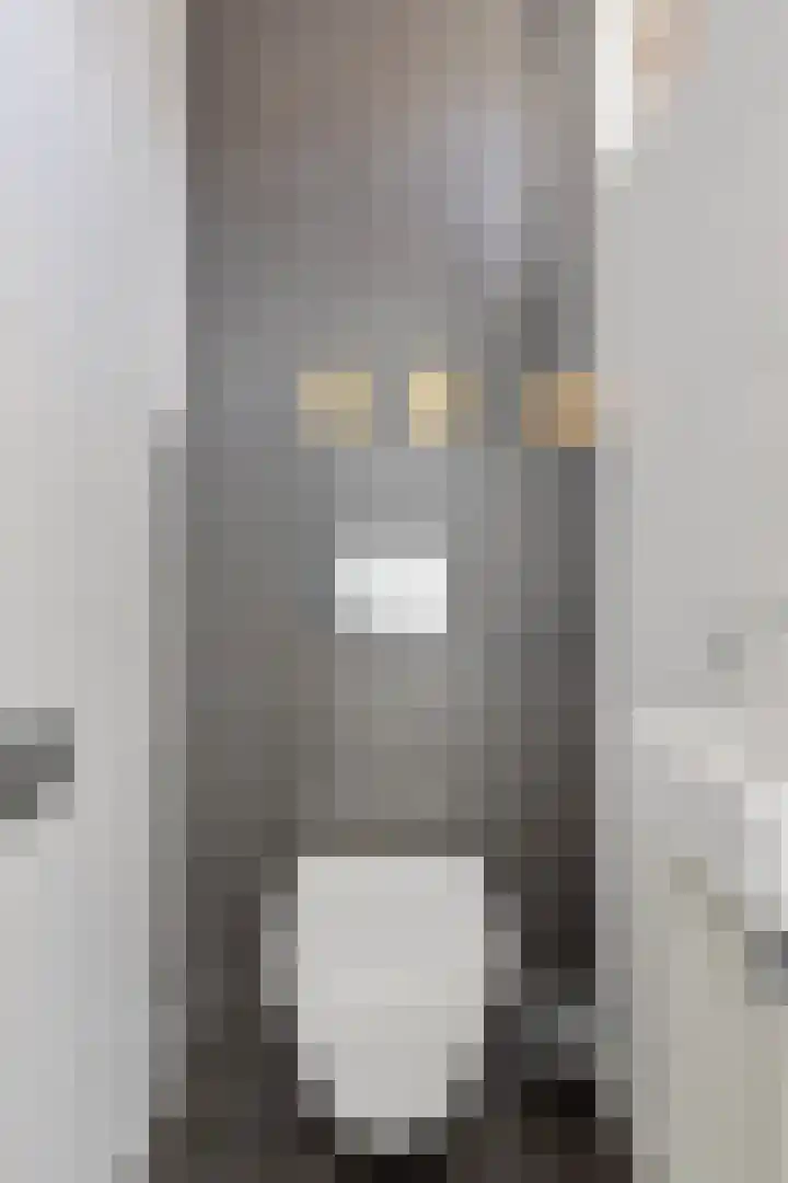 Gelreplein 40 Linne thumbnail 7