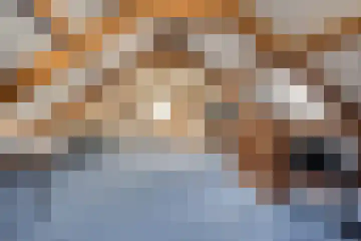 Gelrestraat 13 Mook thumbnail 34