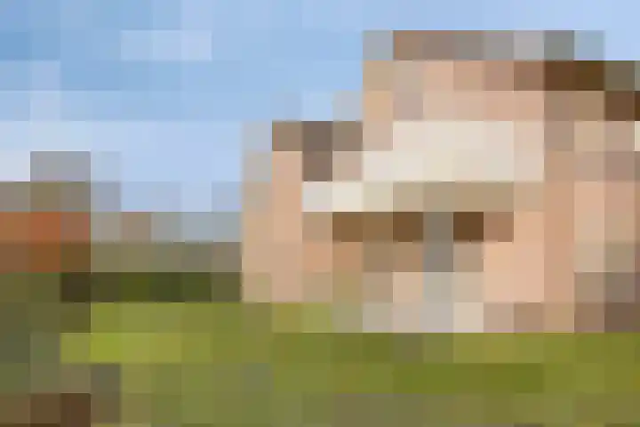 Gelrestraat 13 Mook thumbnail 37