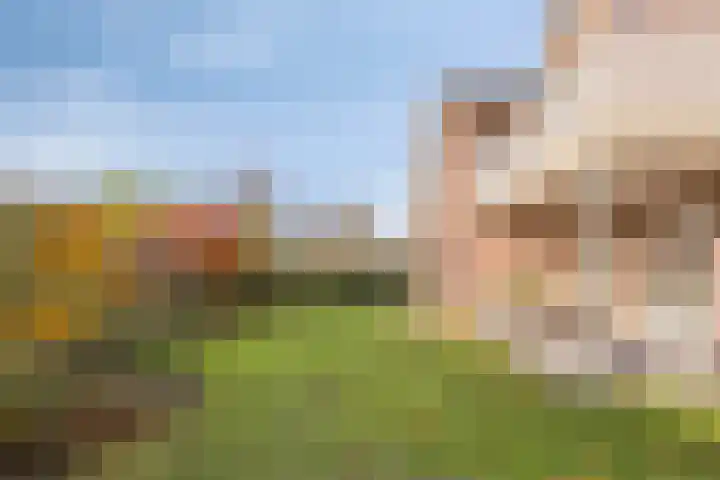 Gelrestraat 13 Mook thumbnail 39