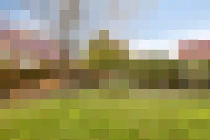 Gelrestraat 13 Mook thumbnail 41