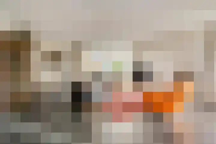 Gelrestraat 13 Mook thumbnail 5