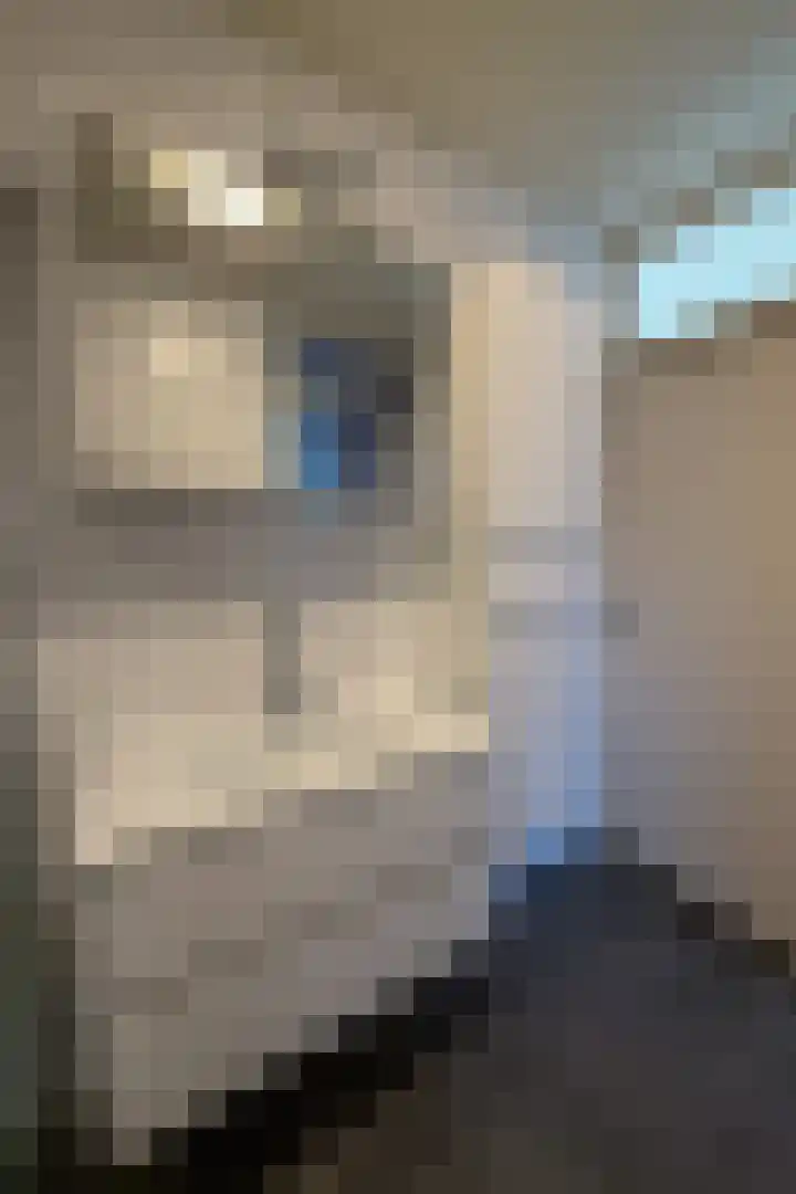 Gelrestraat 22 B Echt thumbnail 15