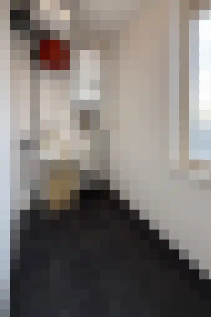 Gelrestraat 22 B Echt thumbnail 8