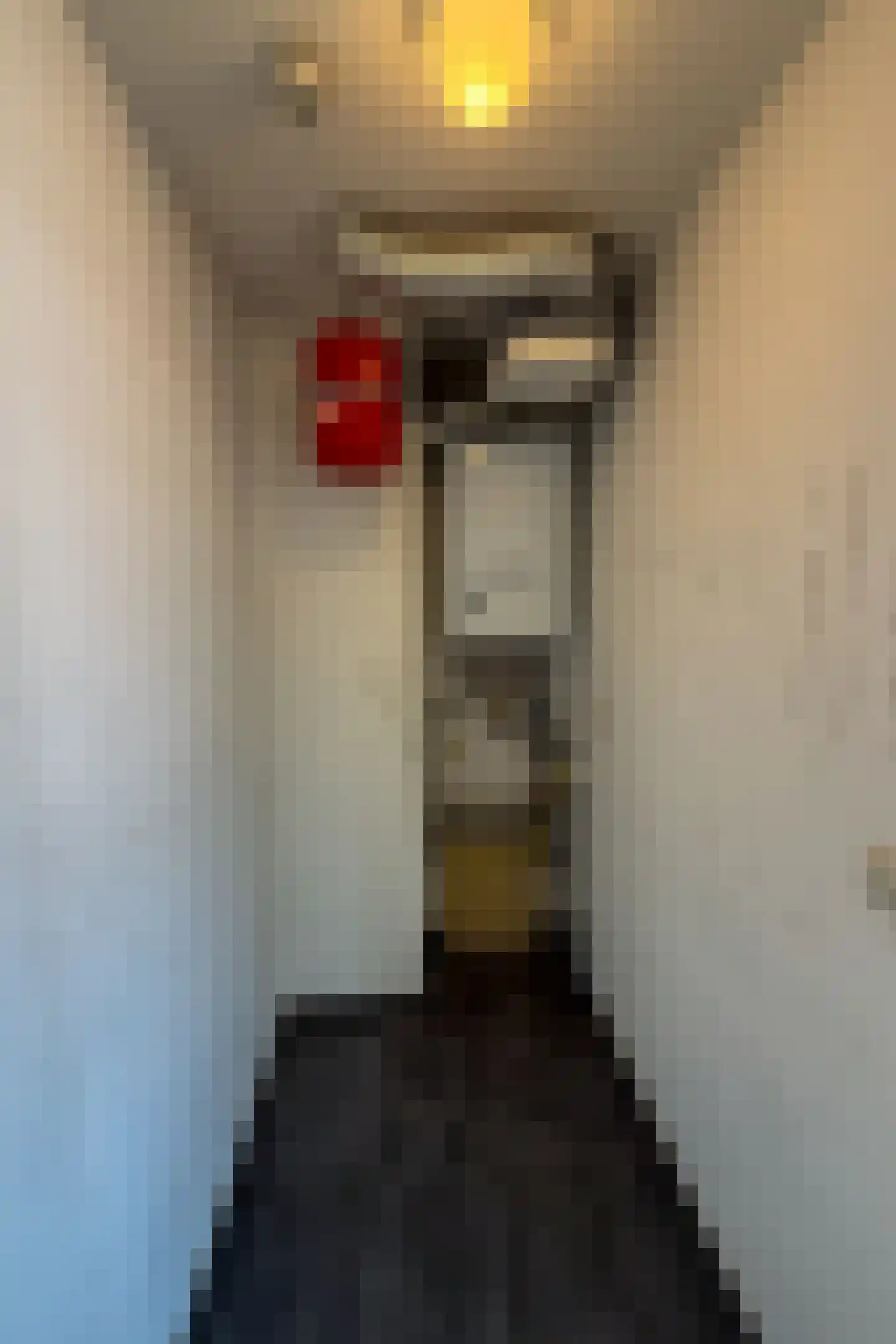 Gelrestraat 22 C Echt thumbnail 15
