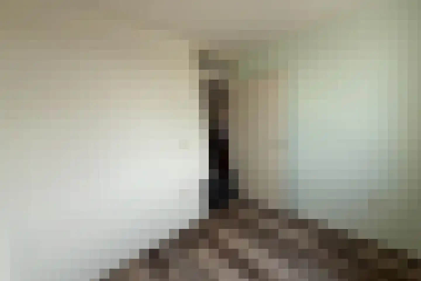 Gelrestraat 22 C Echt thumbnail 22