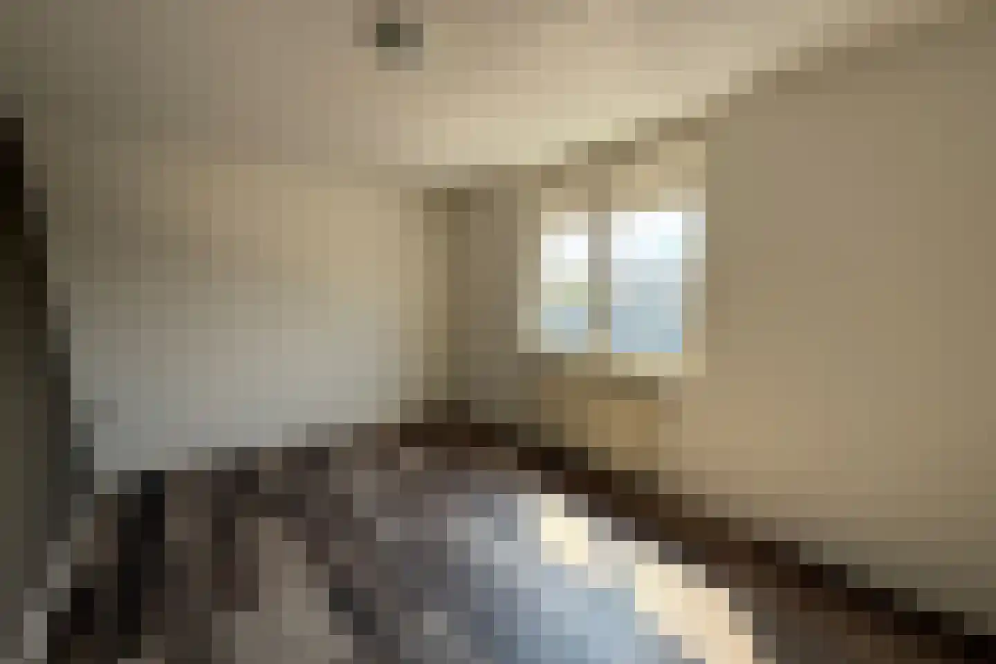 Gelrestraat 22 C Echt thumbnail 24