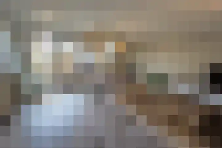 Gelrestraat 22 E Echt thumbnail 10