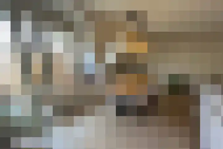 Gelrestraat 22 E Echt thumbnail 11