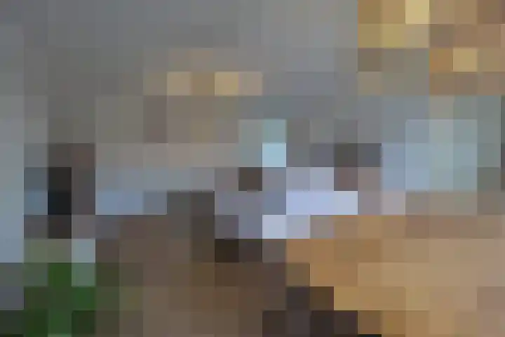 Gelrestraat 22 E Echt thumbnail 12