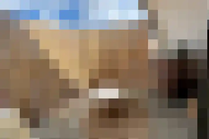 Gelrestraat 22 E Echt thumbnail 16