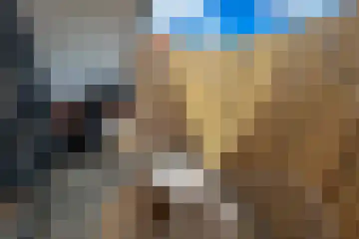 Gelrestraat 22 E Echt thumbnail 17
