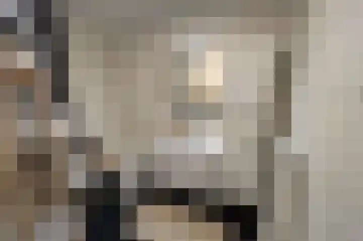 Gelrestraat 22 E Echt thumbnail 24
