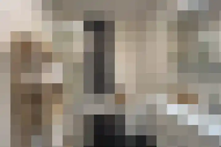 Gelrestraat 22 E Echt thumbnail 25