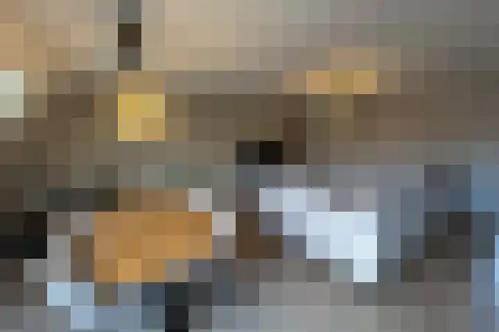 Gelrestraat 22 E Echt thumbnail 7
