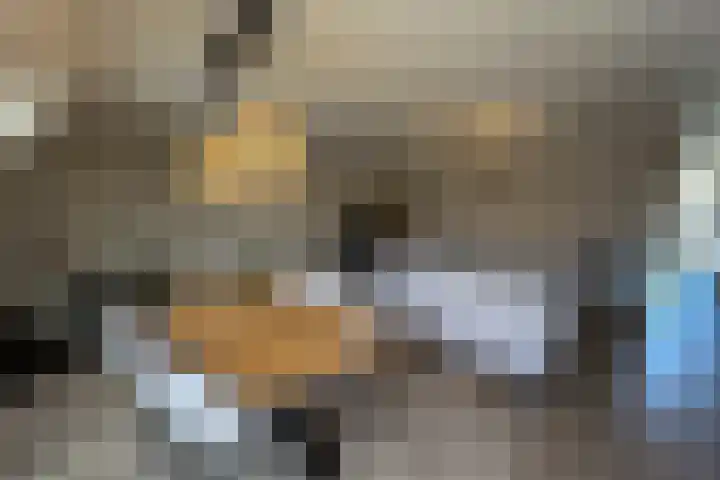 Gelrestraat 22 E Echt thumbnail 8
