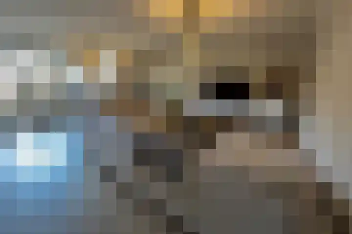 Gelrestraat 22 E Echt thumbnail 9