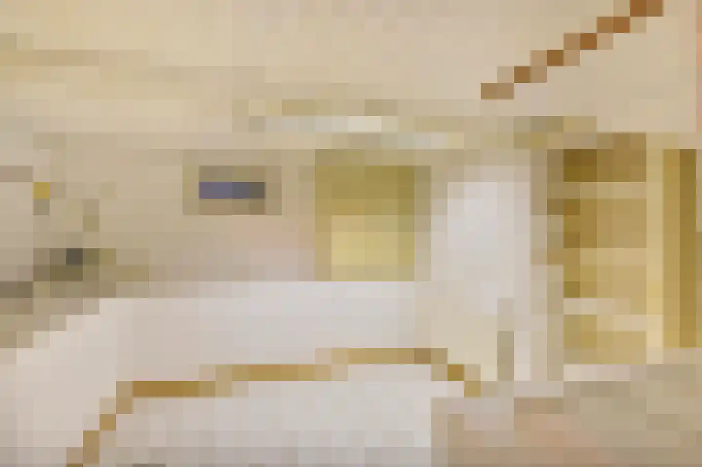 Gelrestraat 3 Kessel thumbnail 17