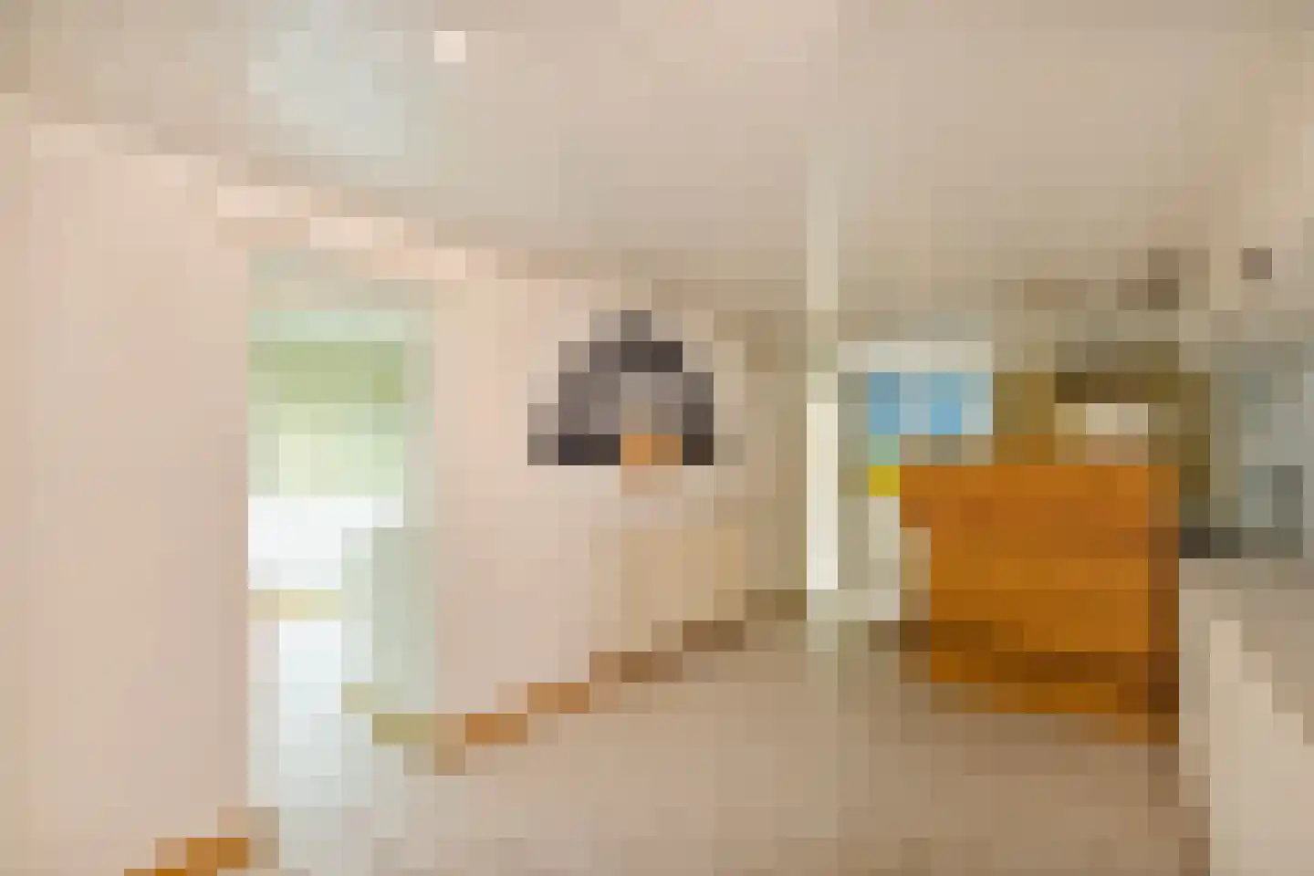 Gelrestraat 3 Kessel thumbnail 18