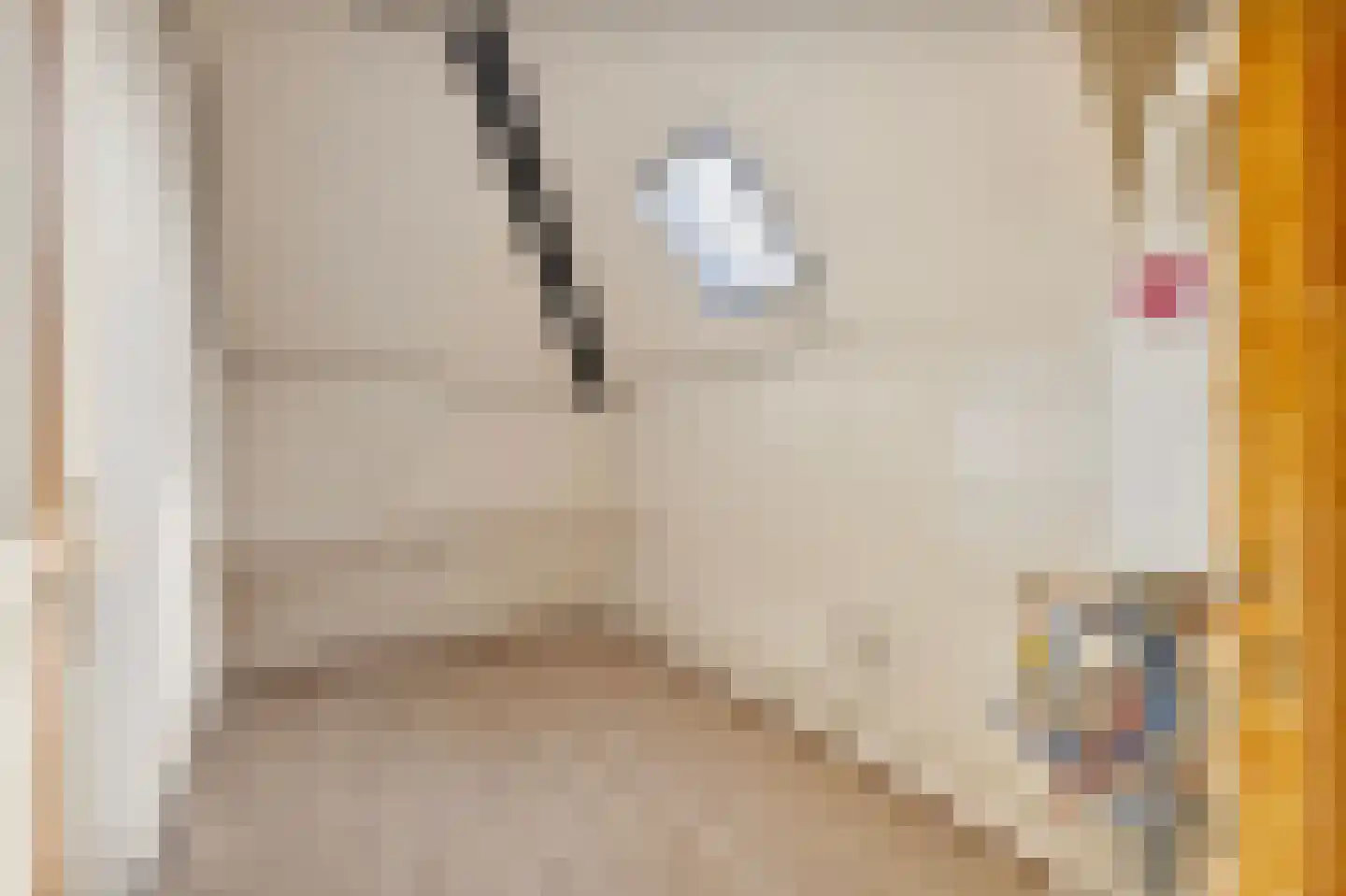 Gelrestraat 3 Kessel thumbnail 25