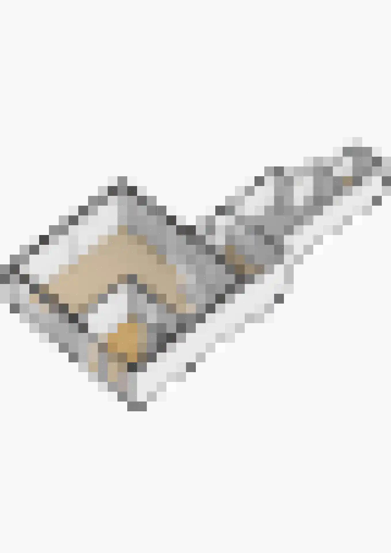 Gelrestraat 3 Kessel thumbnail 30