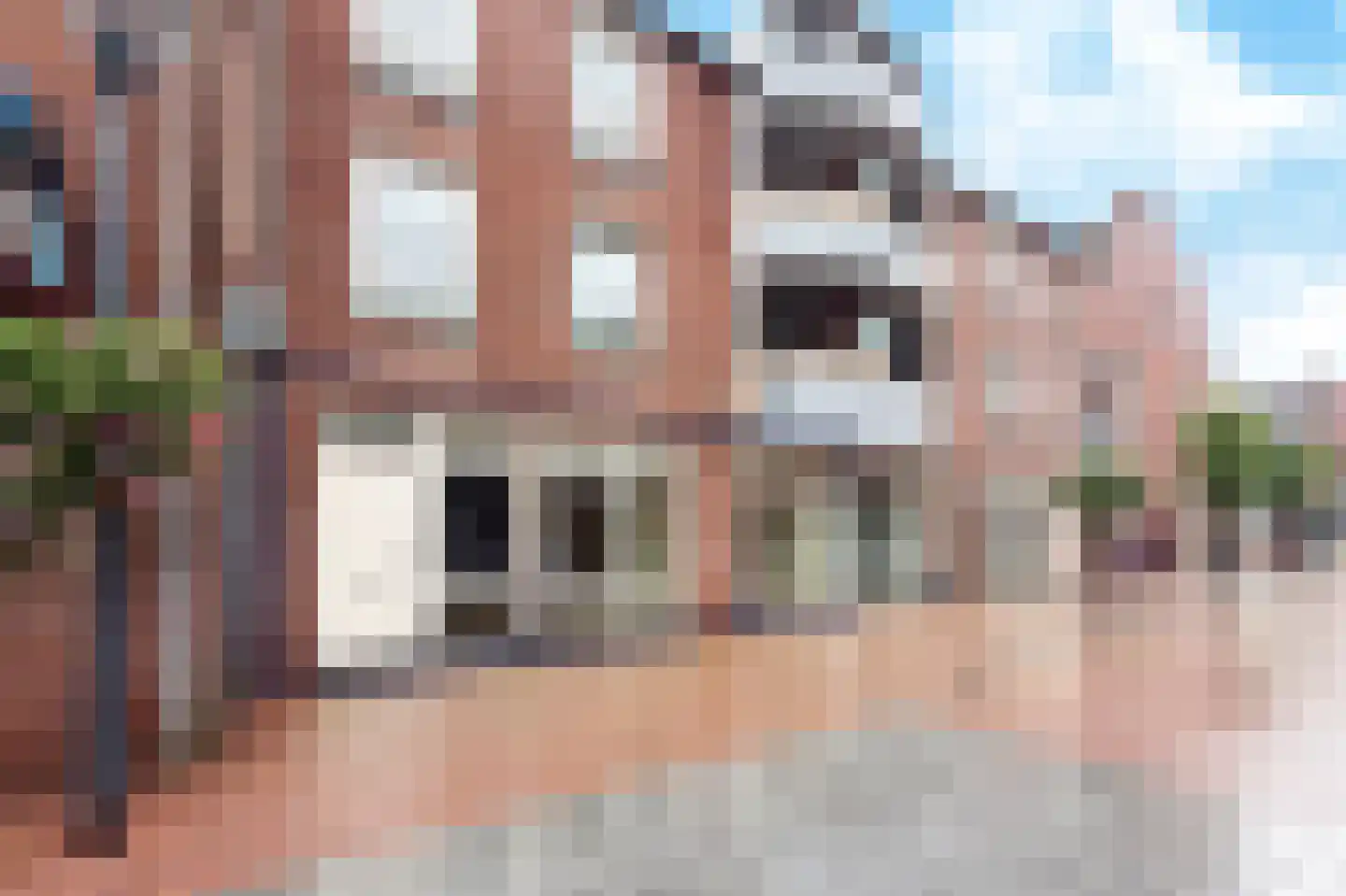 Gelrestraat 6 Echt thumbnail 4